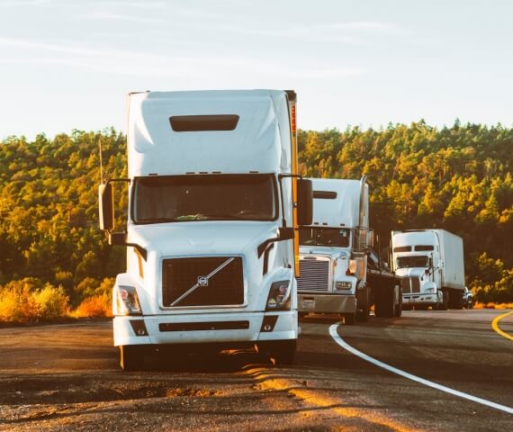 International All In Forwarder - Seguro para Mercaderías